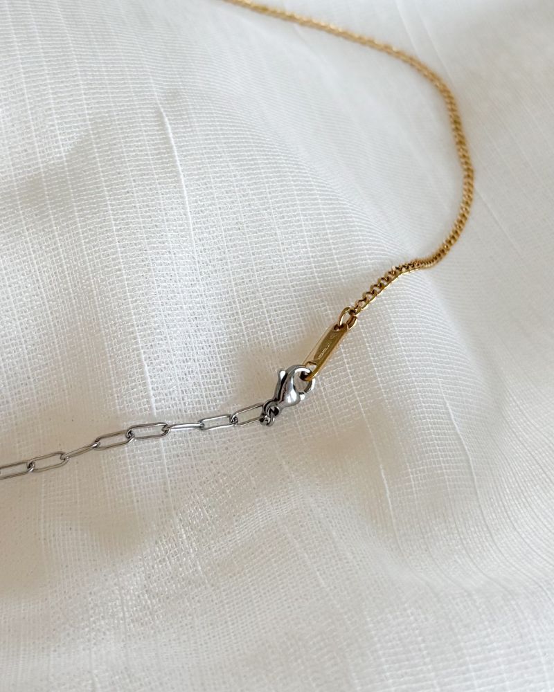 Bobby-Rae | Bicolor ketting dames | Duotone stainless steel ketting