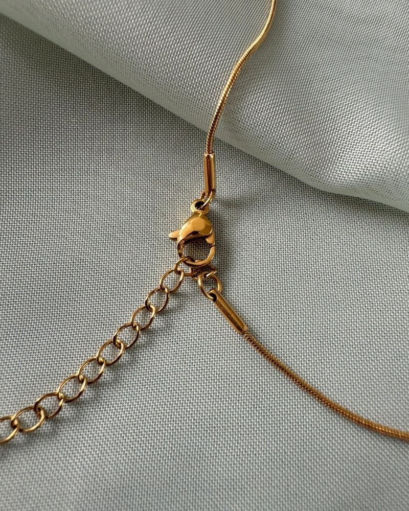 Paula | Gouden ketting met Abalone schelp hanger | Stainless steel