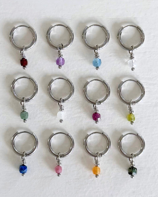 Oorbellen met geboortesteen zilver stainless steel