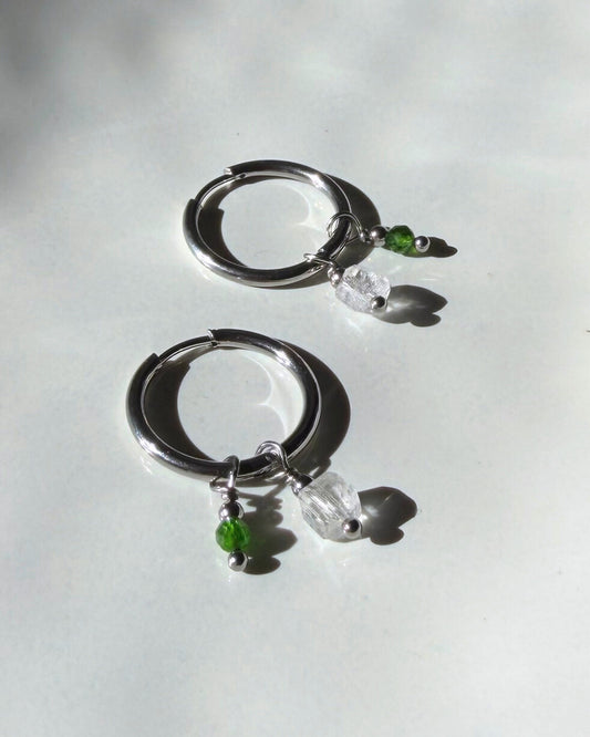 Hoepeloorbellen met 2 hangers Zilver stainless steel